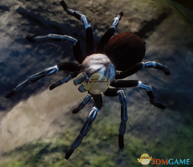 《动物园之星》新物种巴西红白狼蛛MOD