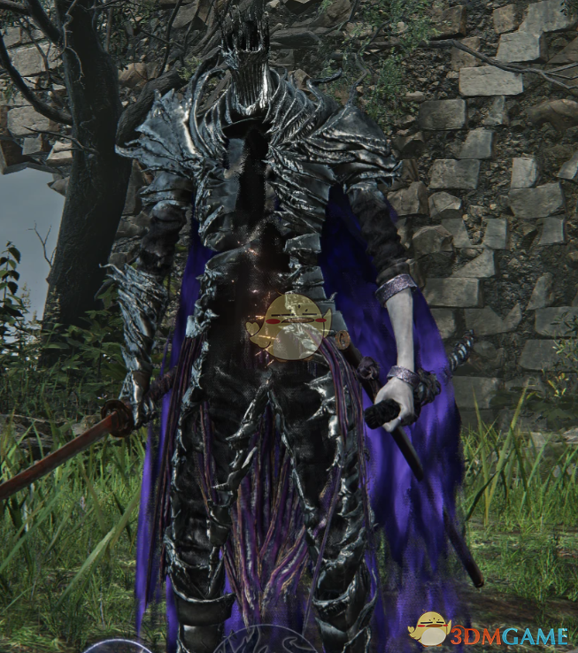 《艾尔登法环：黑夜君临》最终BOSS黑夜王外观MOD
