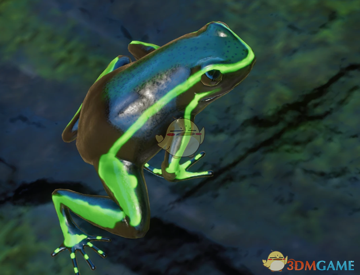 《动物园之星》新物种箭毒蛙MOD