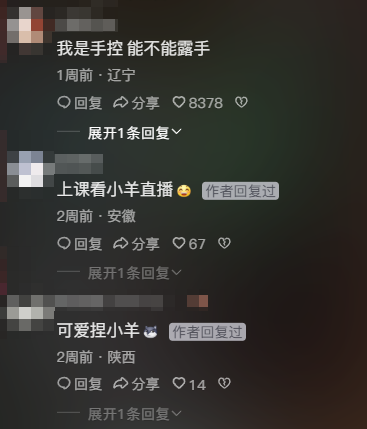 看完女主播給大哥露出玉足，我不想看她露手自證開(kāi)掛代打了