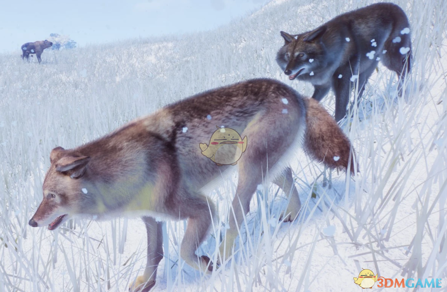 《动物园之星》新物种喜马拉雅狼MOD