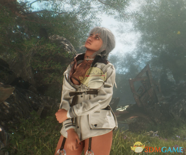 《光与影：33号远征队》熙艾尔的剑星空战王牌套装MOD