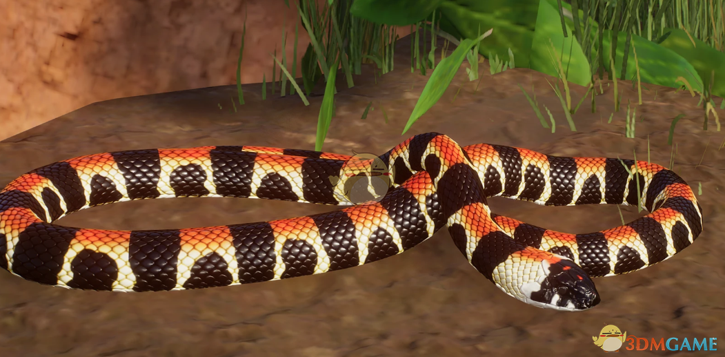 《动物园之星》新物种斑点丑角蛇MOD