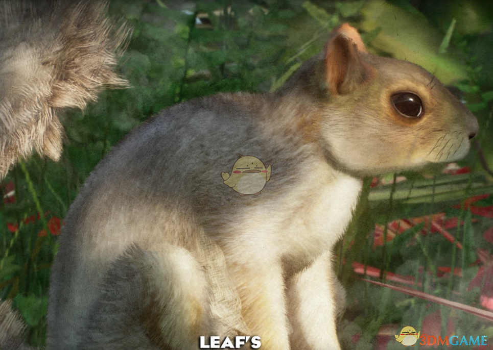 《动物园之星》新物种东部灰松鼠MOD