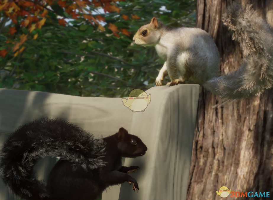 《动物园之星》新物种东部灰松鼠MOD