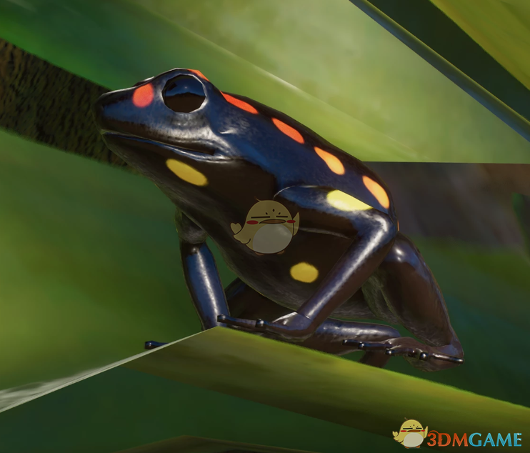 《动物园之星》新物种圣地亚哥箭毒蛙MOD