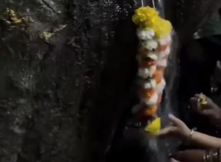 印度一棵樹突然冒“圣水” 民眾獻(xiàn)花環(huán)：真相曝光尷尬