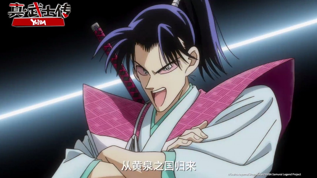 TV桤ʿYAIBA 6146Bվײ