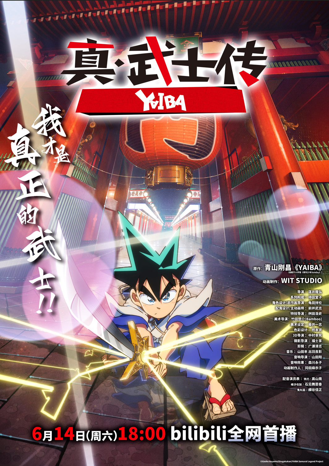 TV桤ʿYAIBA 6146Bվײ