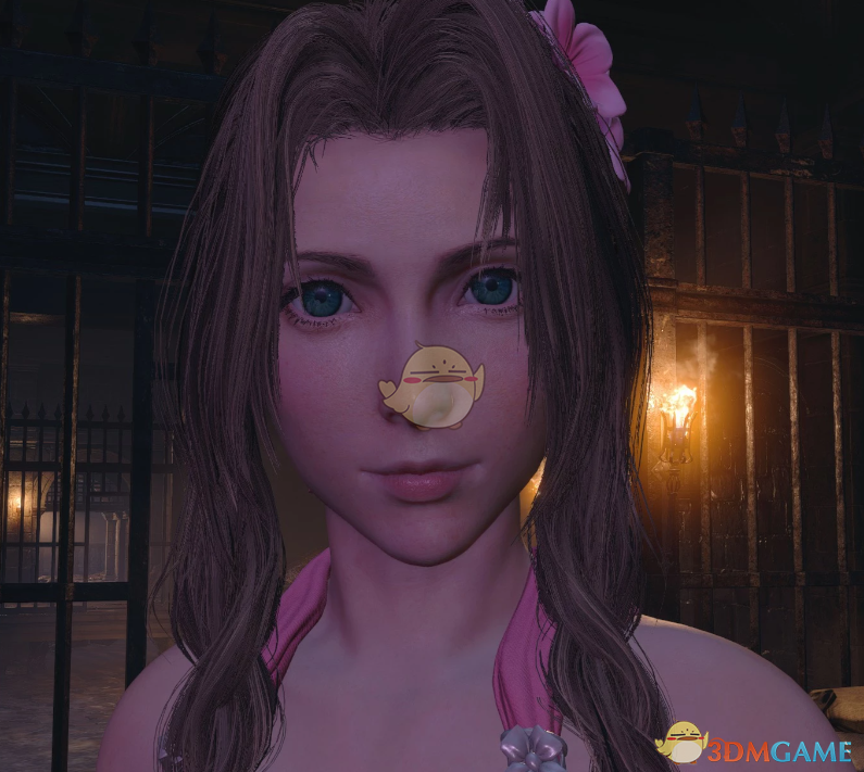 《生化危机4：重制版》最终幻想爱丽丝替换艾达MOD