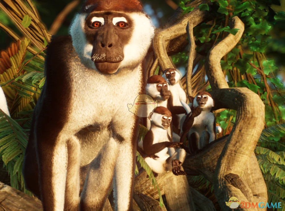 《动物园之星》新物种白领白眉猴MOD