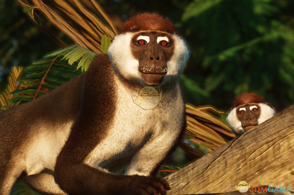 《动物园之星》新物种白领白眉猴MOD
