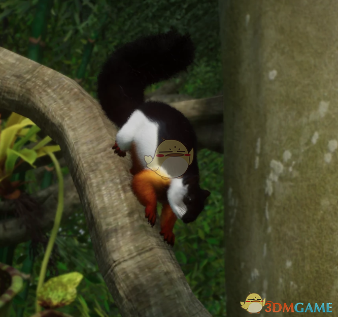 《动物园之星》新物种普雷沃斯特松鼠MOD