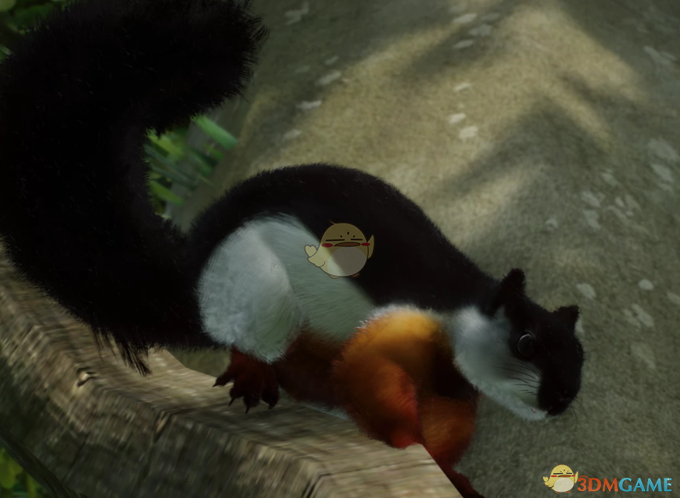 《动物园之星》新物种普雷沃斯特松鼠MOD