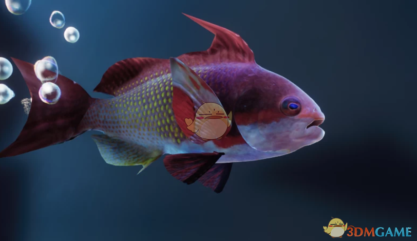 《动物园之星》新物种蓝眼海金鱼MOD