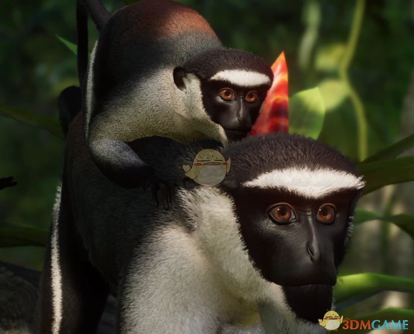 《动物园之星》新物种黛安娜长尾猴MOD