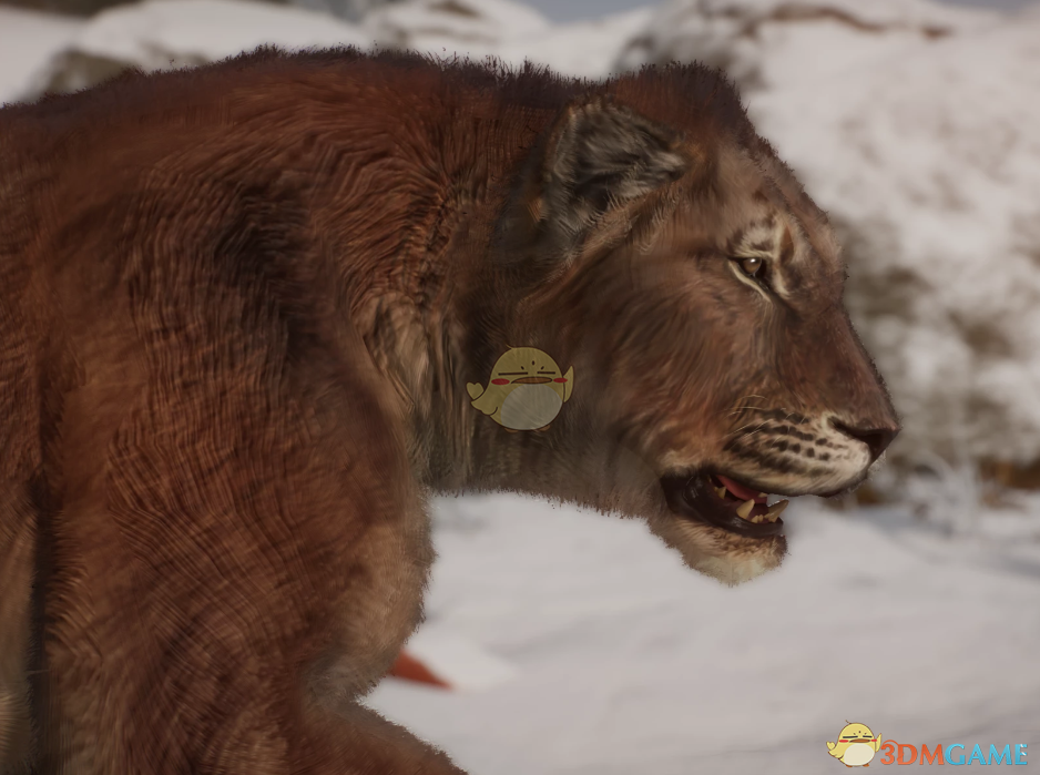 《动物园之星》新物种美洲拟狮MOD