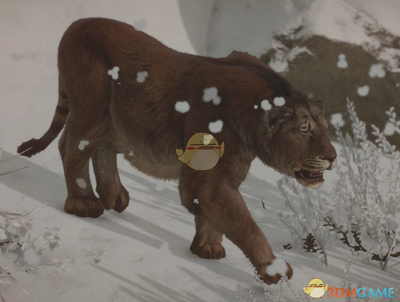 《动物园之星》新物种美洲拟狮MOD