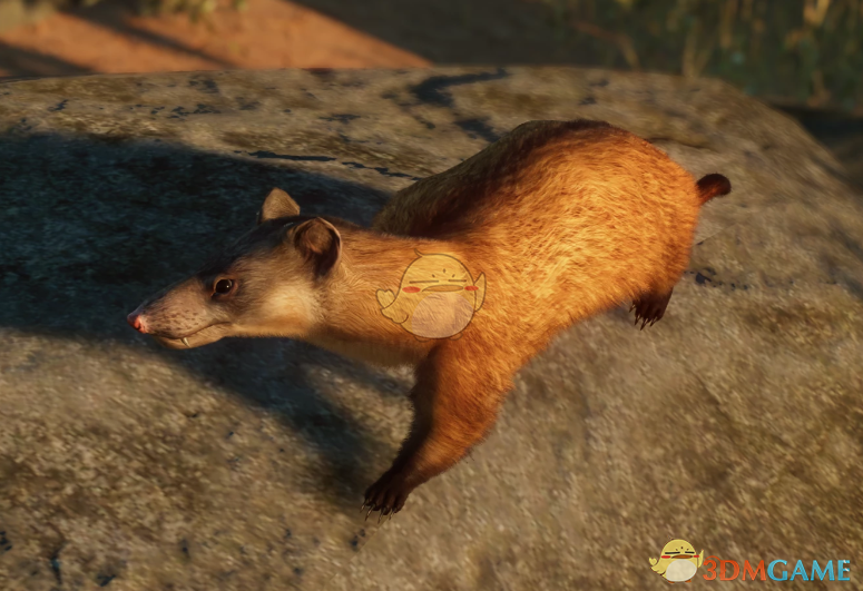 《动物园之星》新物种卡拉袋鼬MOD