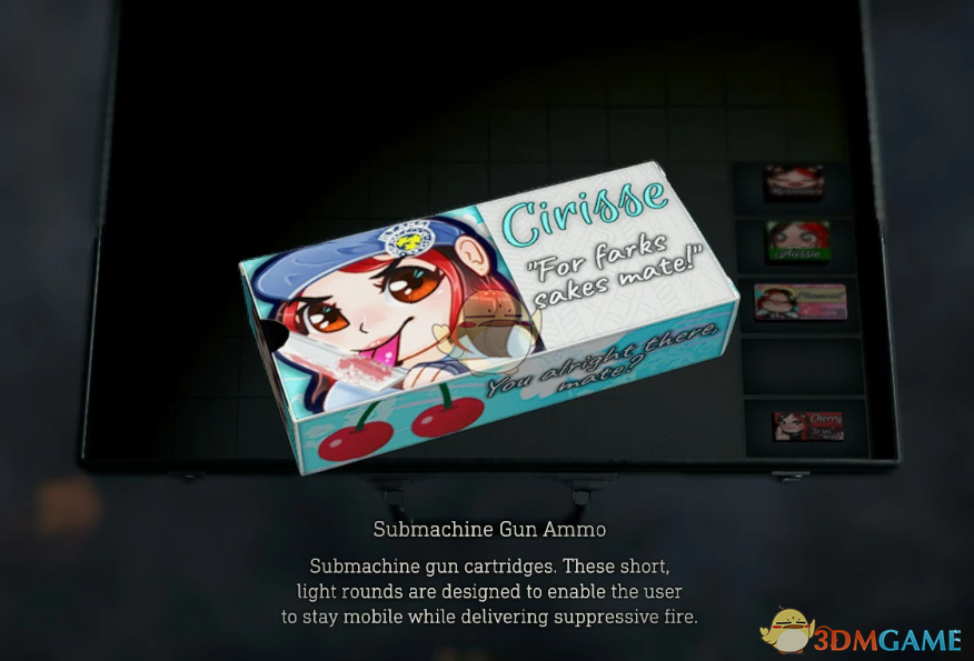 《生化危机4：重制版》弹药盒的虚拟主播EvilCherryBerry图案MOD