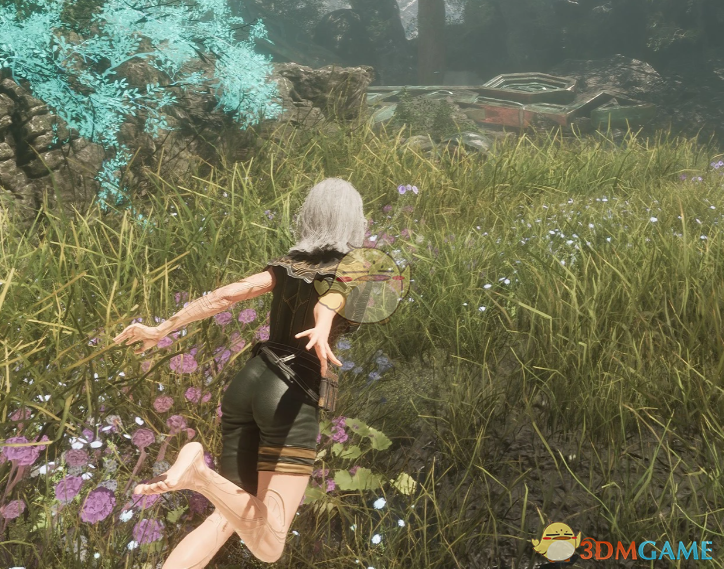 《光与影:33号远征队》吕涅的军用比基尼MOD