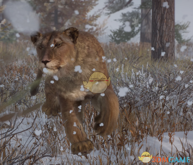 《动物园之星》新物种欧亚洞狮MOD