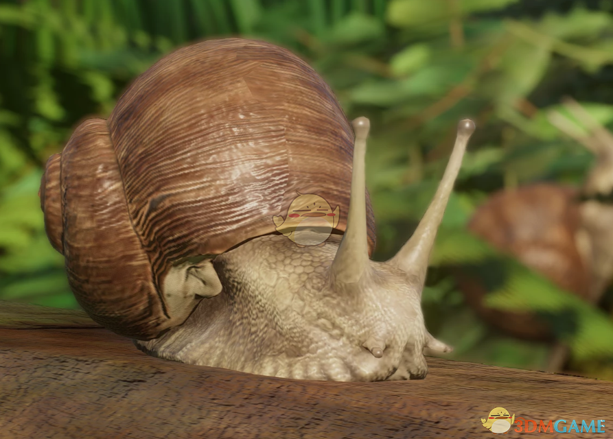 《动物园之星》新物种罗马蜗牛MOD