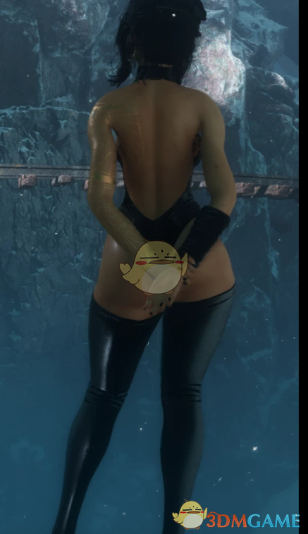 《光与影：33号远征队》吕涅的黑色连体衣MOD