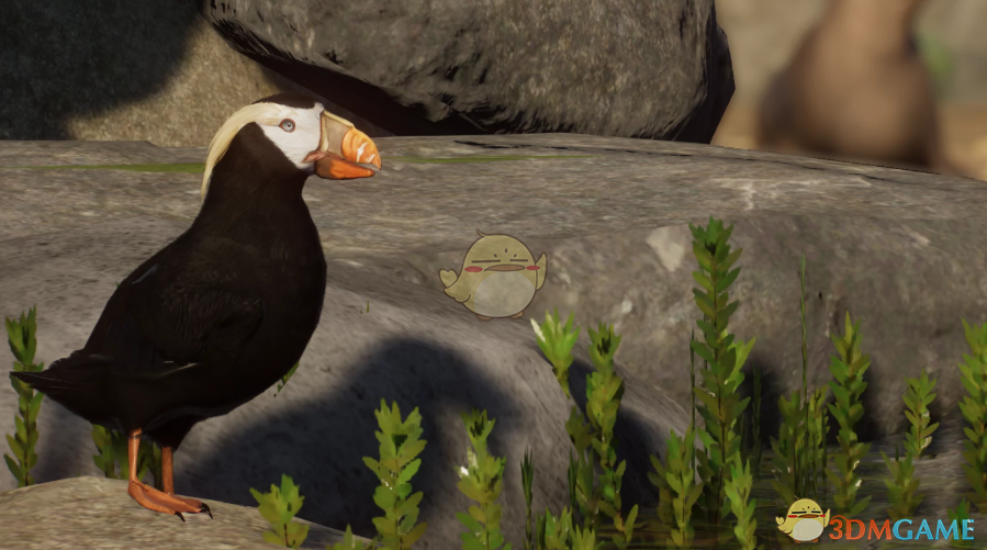 《动物园之星》新物种簇羽海鹦MOD