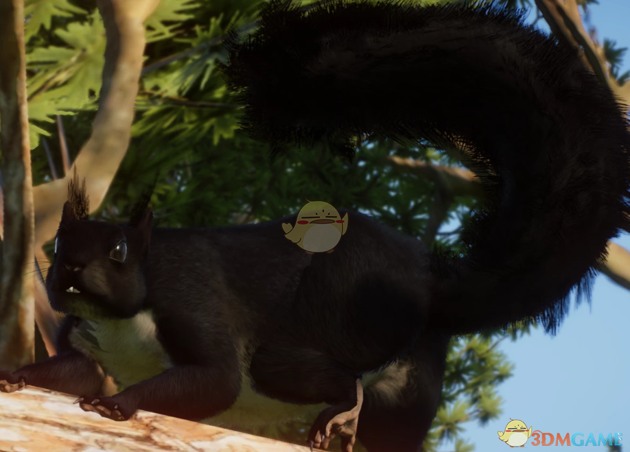 《动物园之星》新物种卡拉布里安黑松鼠MOD