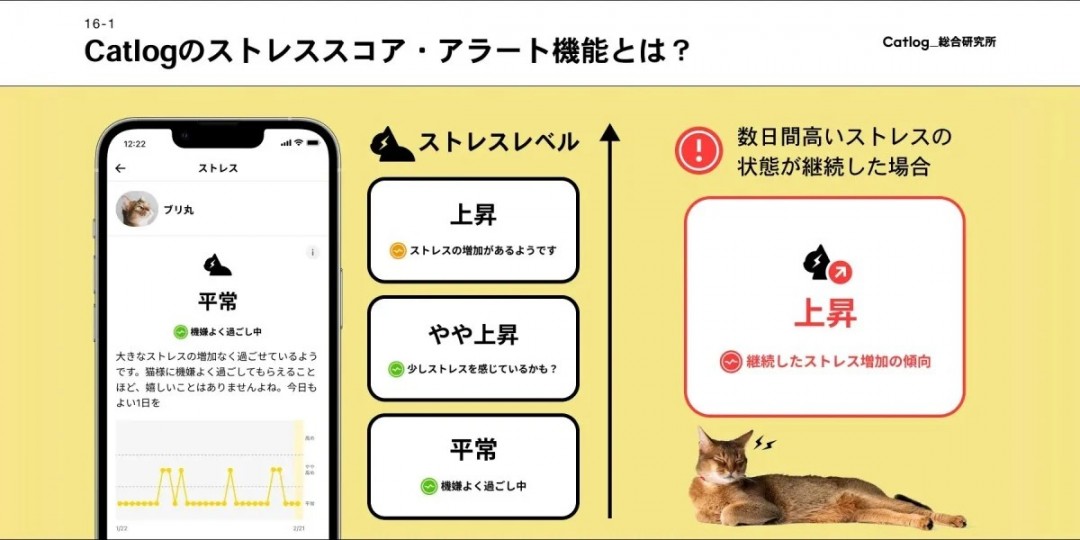 日本企业推出猫用智能项圈 利用AI监测猫咪压力