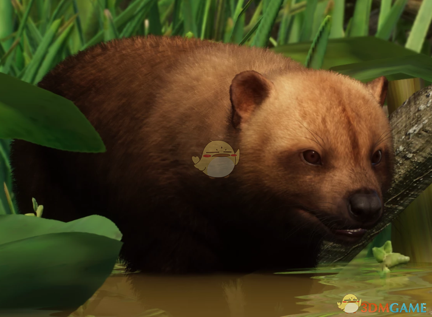 《动物园之星》重制薮犬MOD