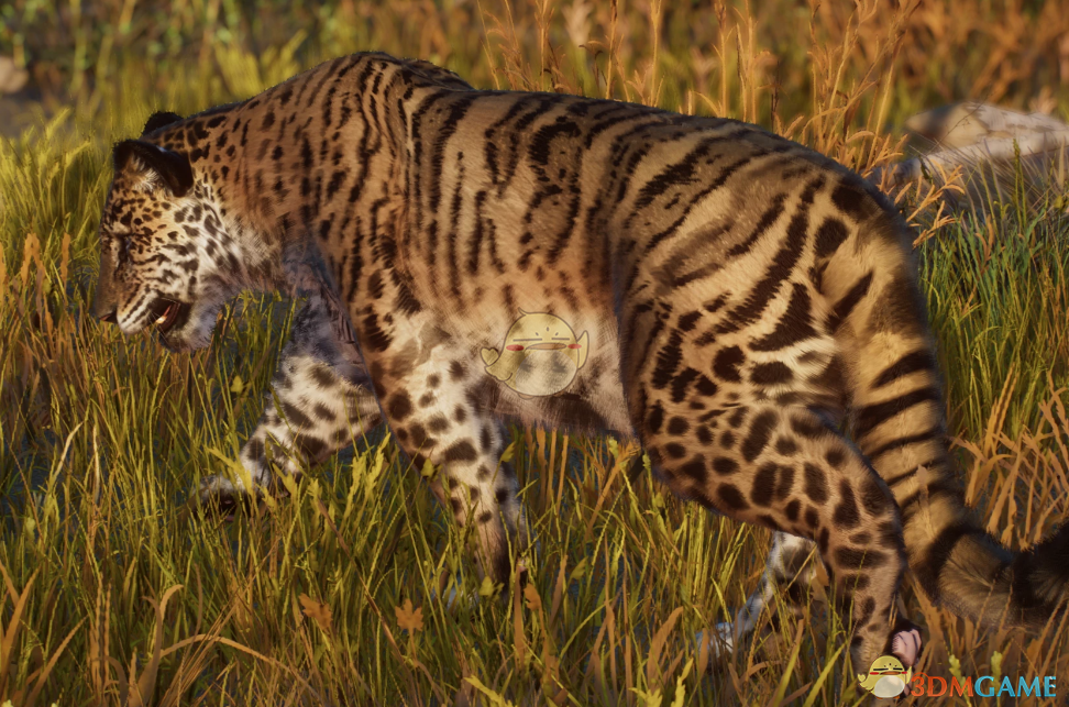 《动物园之星》新物种欧美洲豹MOD