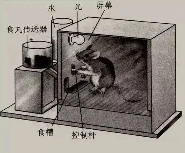 һѺͫ|绰뿳ĳ棬տտ˶˵ǿ