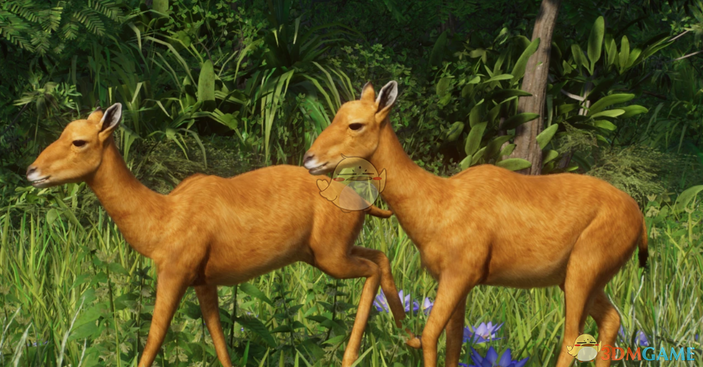 《动物园之星》新物种小古驼MOD