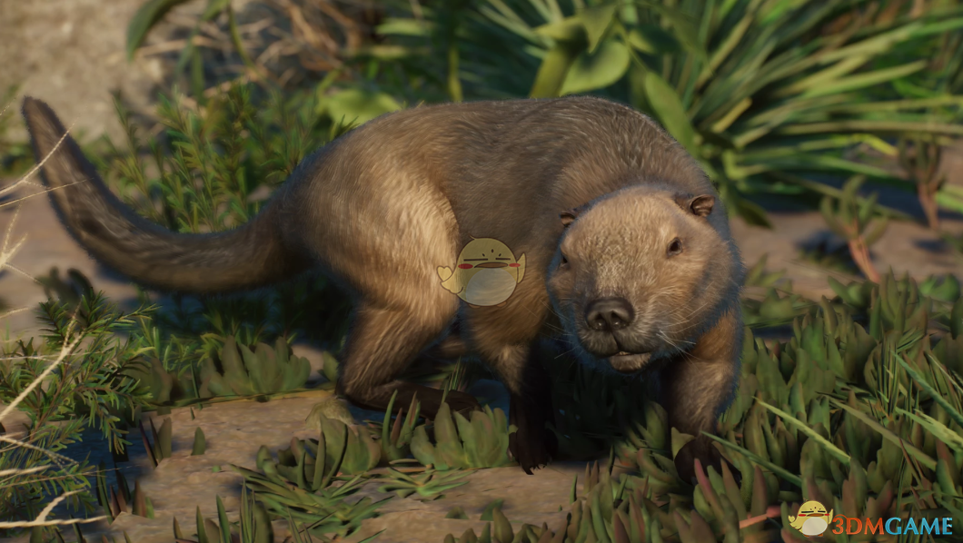 《动物园之星》新物种纹齿兽MOD