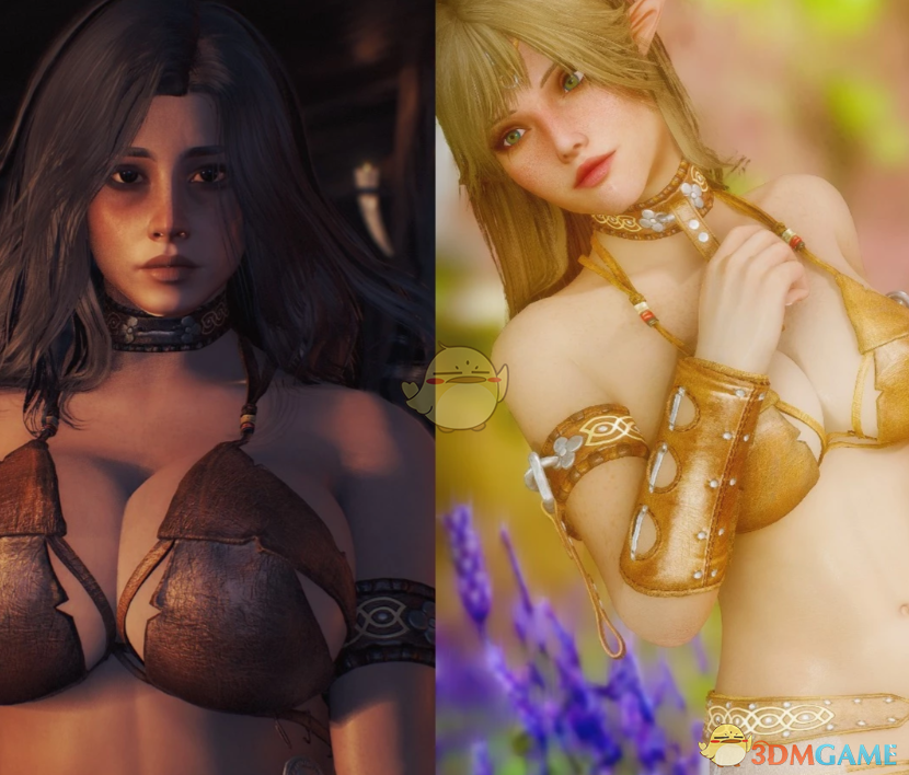 《上古卷轴5:天际重制版》黄昏内衣MOD