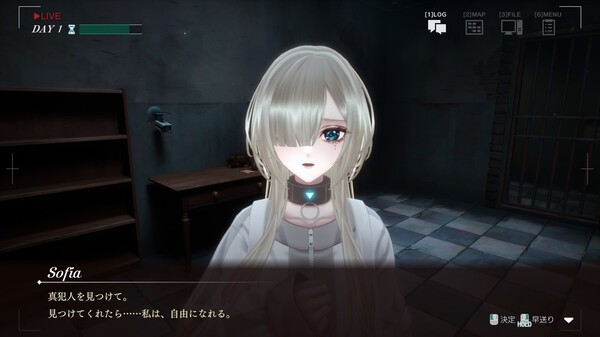 《苏菲亚的谎言与代价》免安装汉化版