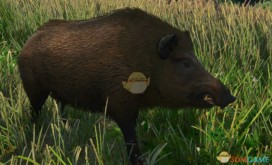 《天国：拯救2》友好的野生动物MOD