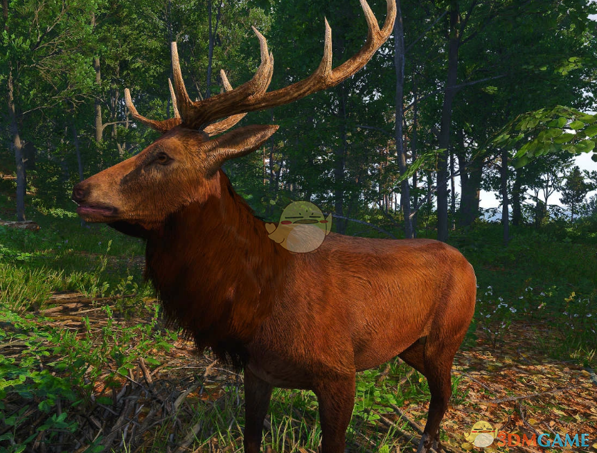 《天国：拯救2》友好的野生动物MOD