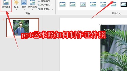 ppt艺术照如何制作证件照