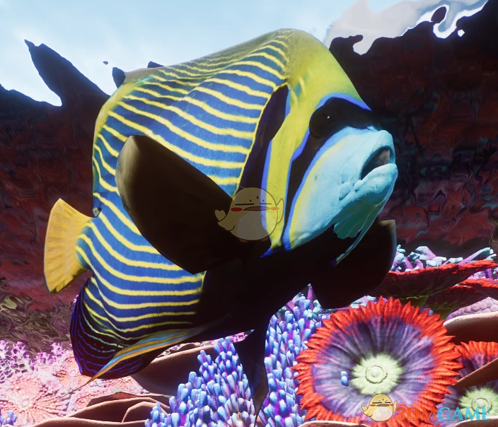 《动物园之星》新物种帝王神仙鱼MOD