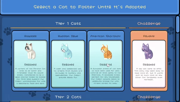 《Kittenship Care》demo