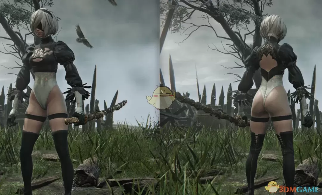 《艾尔登法环：黑夜君临》尼尔机械纪元2B外观MOD