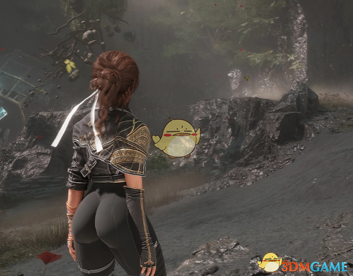 《光与影：33号远征队》MOD|熙艾尔的第一后裔紧身衣|下载