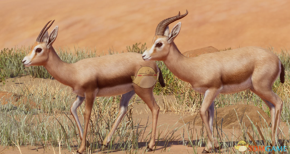 《动物园之星》新物种鹿瞪羚MOD