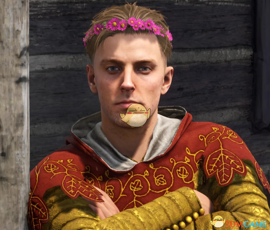 《天国：拯救2》亨利的粉色花环MOD