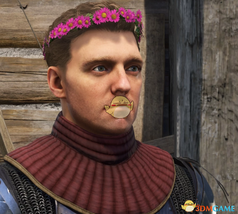 《天国：拯救2》亨利的粉色花环MOD