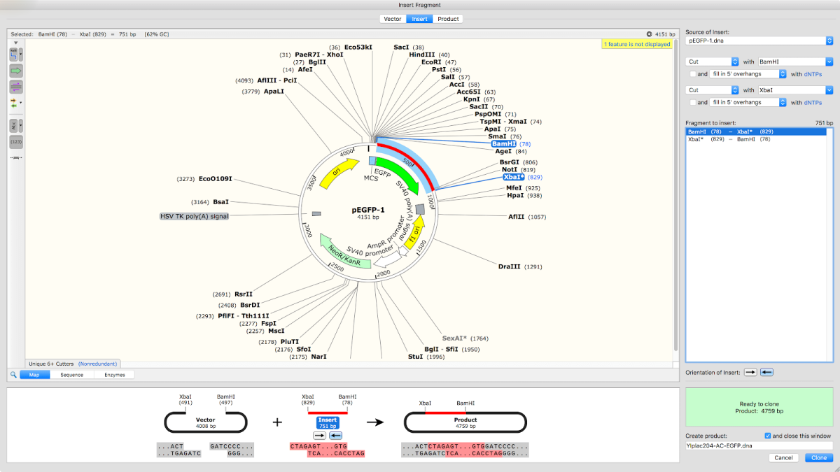 SnapGene8.0.2.0