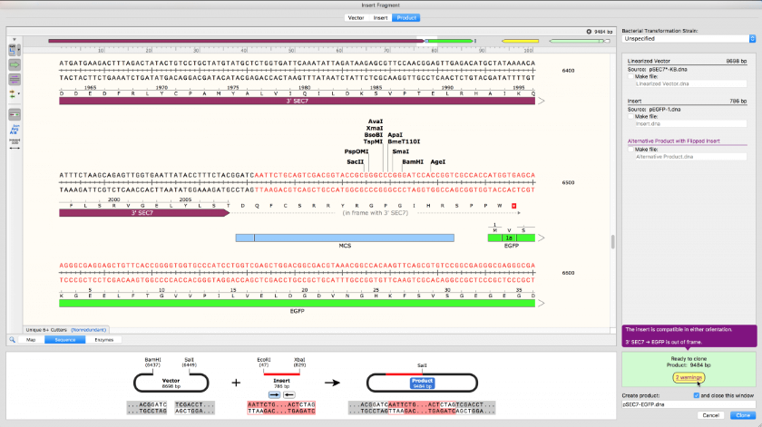 SnapGene8.0.2.0